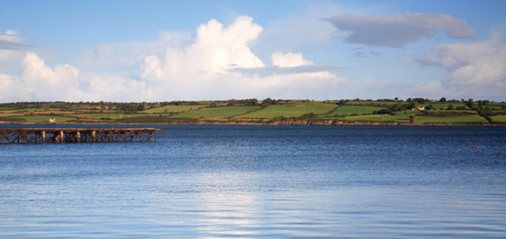 Bed and Breakfast Knights Haven Glin Exterior foto